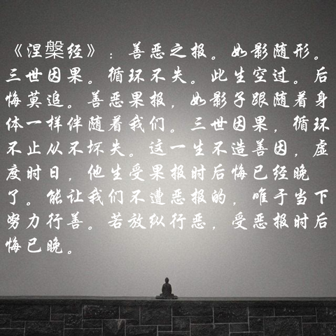 佛教如何定义善与恶?从因果观到慈悲心的伦理维度