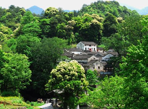 池州市石台县道教