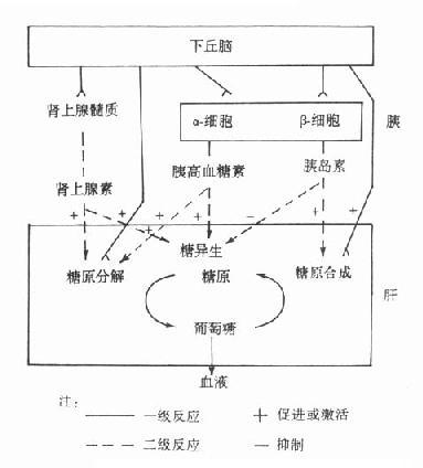 道与场:跨越千年的哲学与科学共鸣