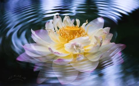 佛教艺术中的“空性”密码：视觉维度的哲思流转