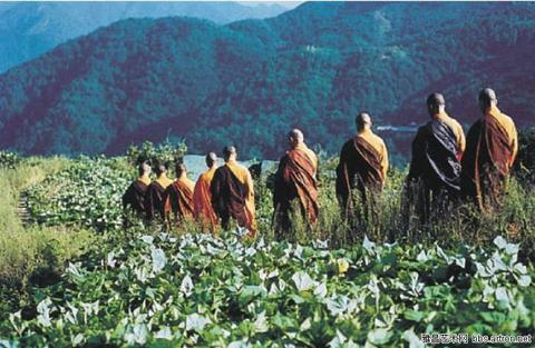 环境保护：佛教徒的“本分事”