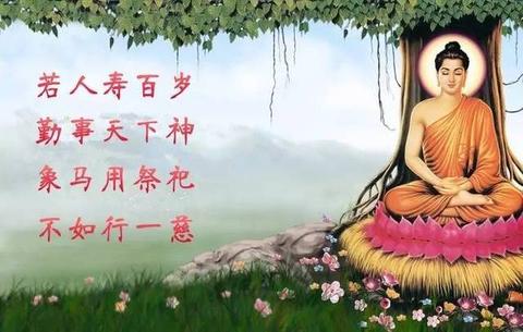 面对道德困境时的佛教解决路径：以“中道”为核心的伦理智慧
