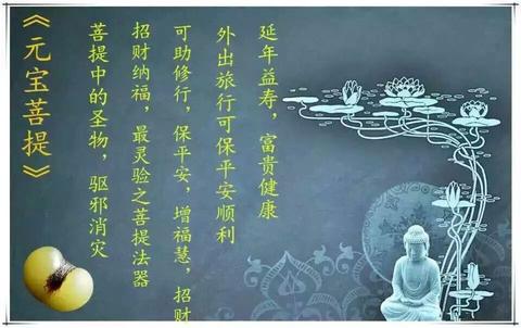 烦恼即菩提：从无明到觉悟的转化之道
