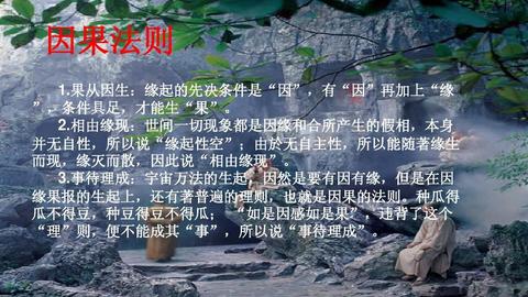 因果循环：个人修行的底层逻辑与实践指南