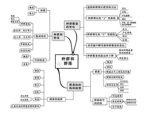 道教“天人合一”与生态学的精神契合：从自然观到实践智慧的共鸣